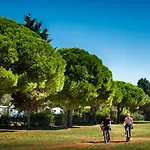 Maistra Amarin Pitches 4*