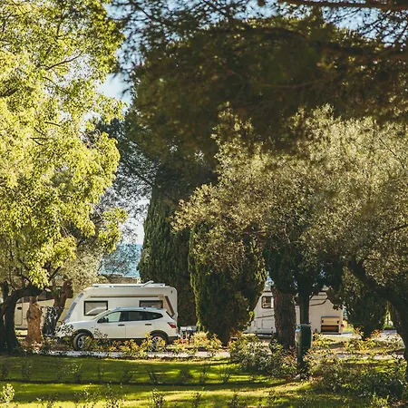 Maistra Amarin Pitches 4*