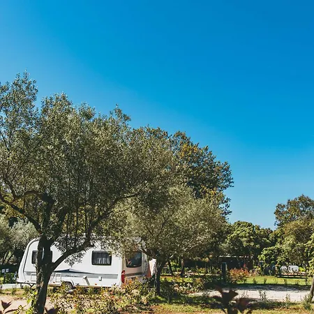 Kamp alanı Maistra Amarin Pitches Rovinj