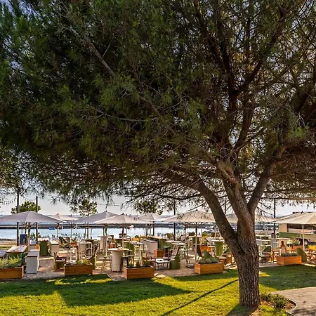 Kamp Maistra Amarin Pitches