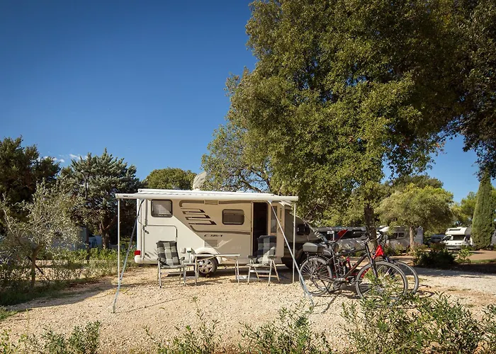 Kamp Maistra Amarin Pitches