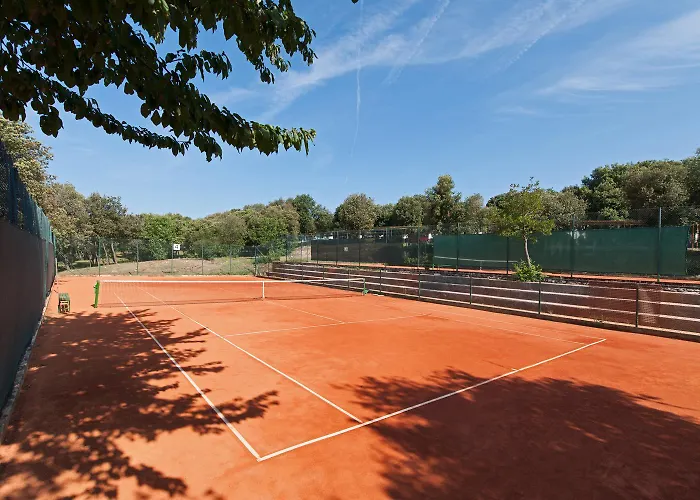 Maistra Amarin Pitches Kamp