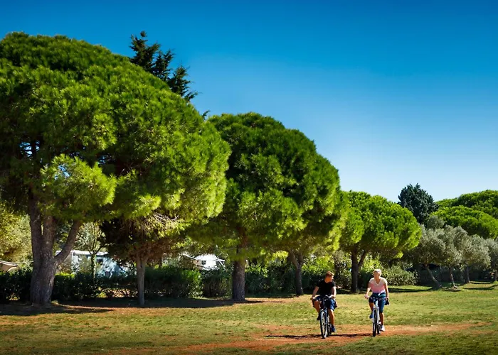 Maistra Amarin Pitches 4*