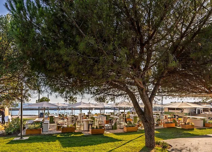 Kamp Maistra Amarin Pitches